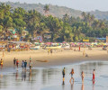 Delight Goa